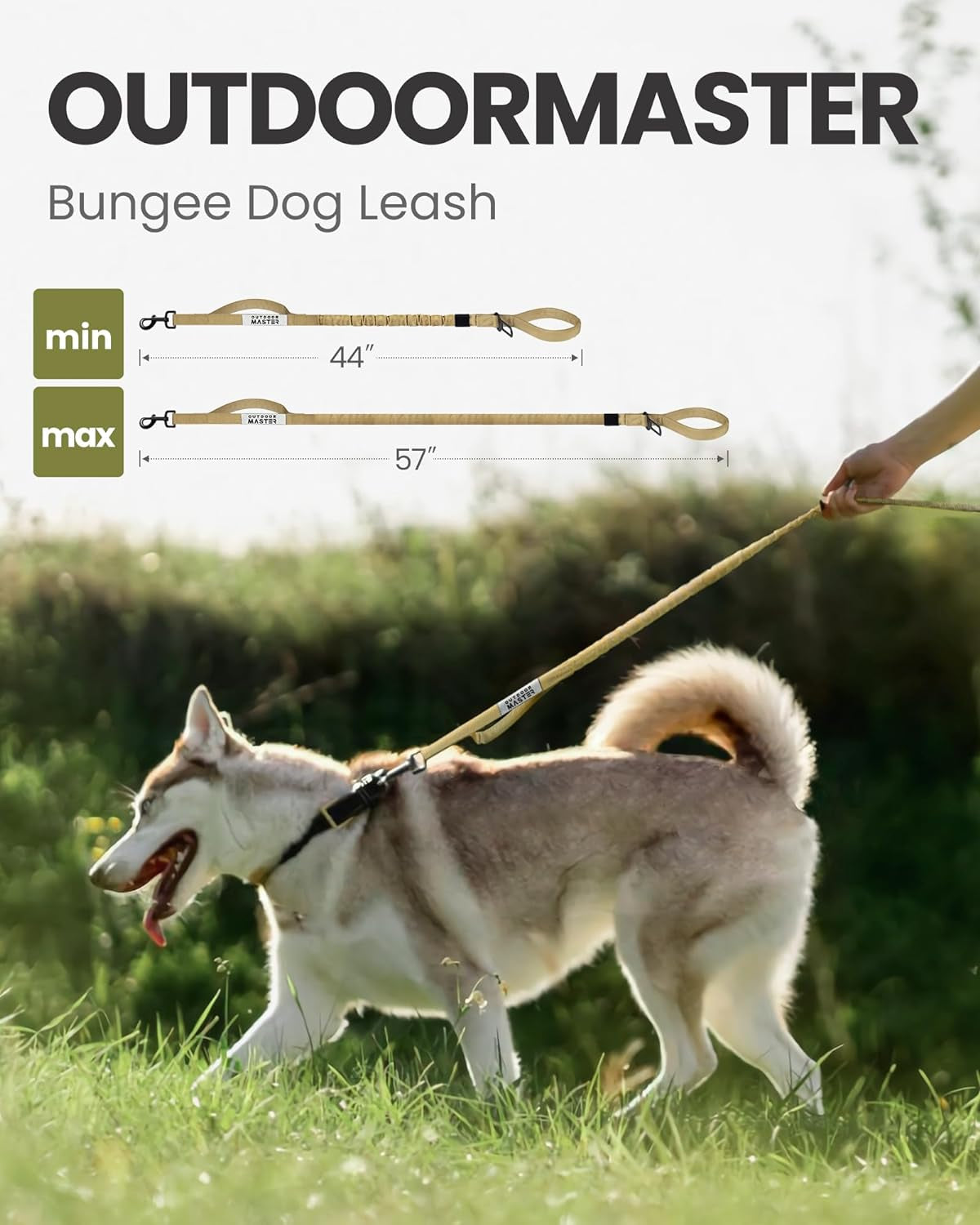 Bungee Dog Leash – Heavy Duty & Shock Absorbing