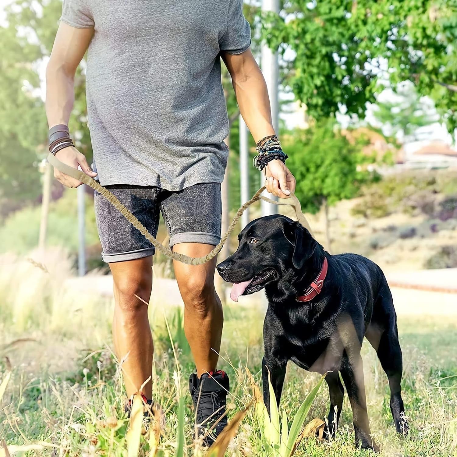 Bungee Dog Leash – Heavy Duty & Shock Absorbing